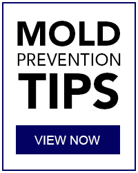 Mold inspection Port Orange and other service areas