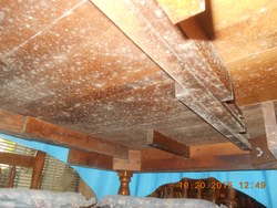 Mold Under Dining Room Table